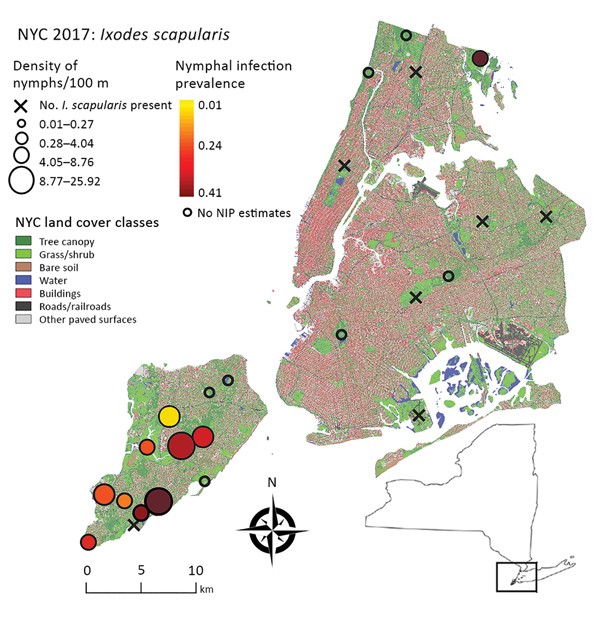  Study area for analysis of Ixodes scapularis nymphal tick densities and Borrelia burgdorferi infection prevalence, New York, New York, USA, 2017. Open circles indicate parks where tick sample size was too low to estimate nymphal infection prevalence. Inset shows location of study area in New York state. NIP, nymphal infection prevalence; NYC, New York City.