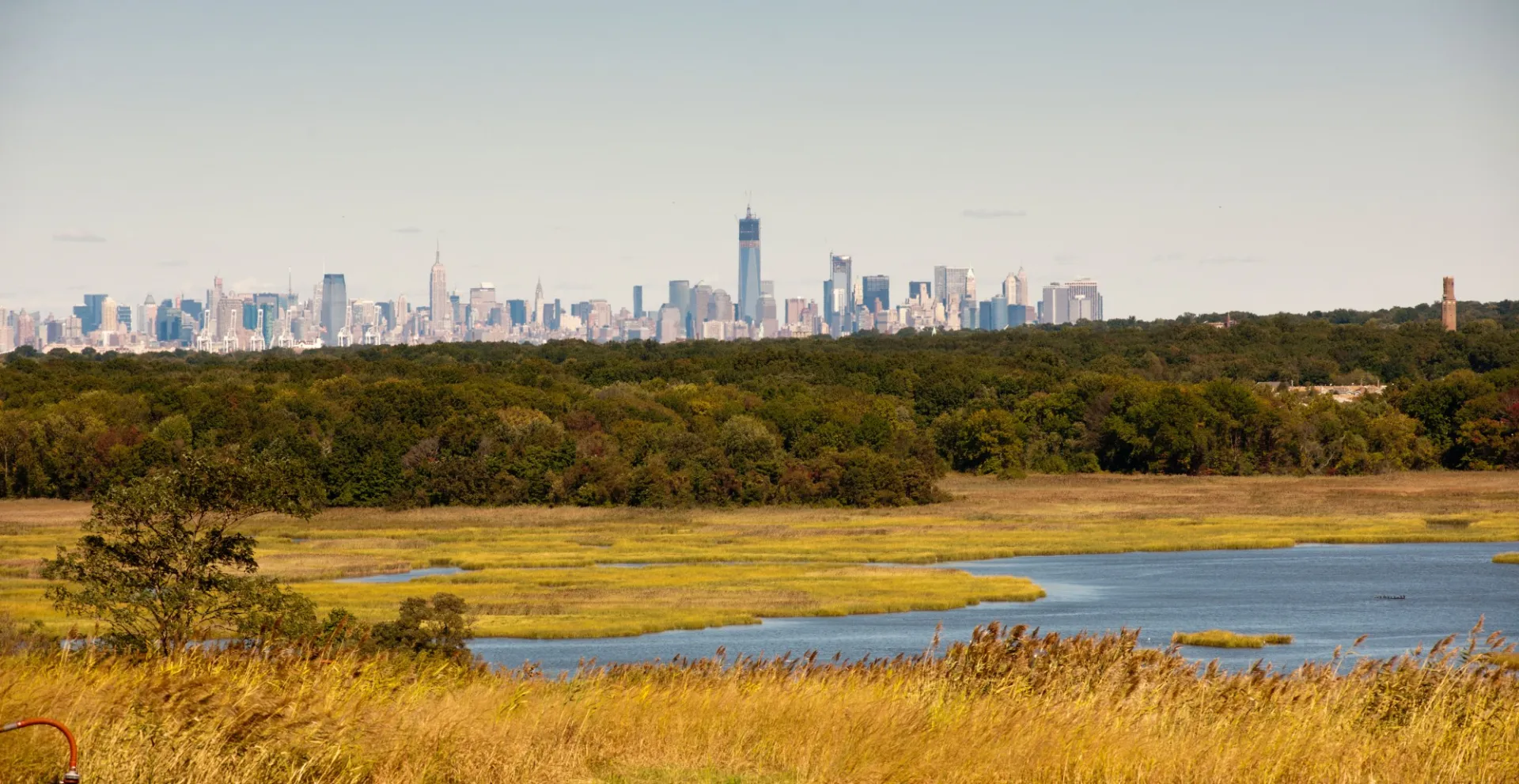 View of a park on Staten Island with the New York City skyline in the back