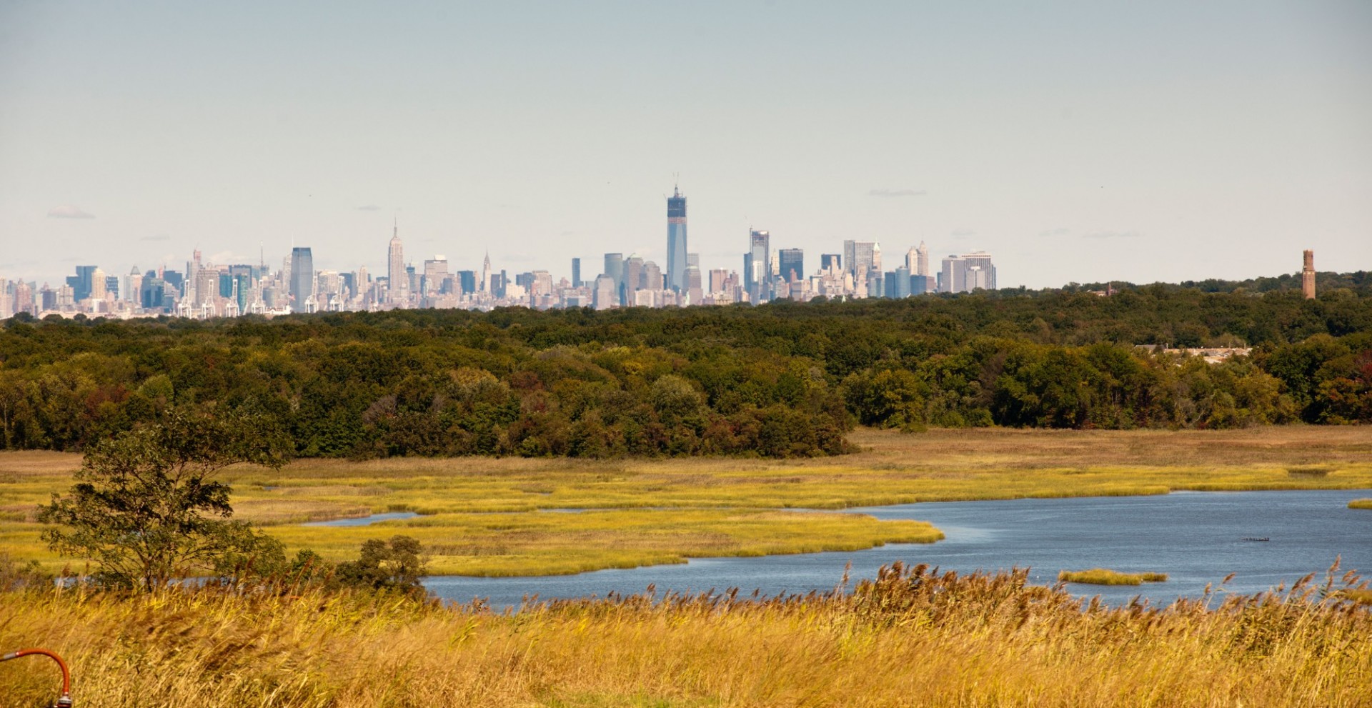 View of a park on Staten Island with the New York City skyline in the back