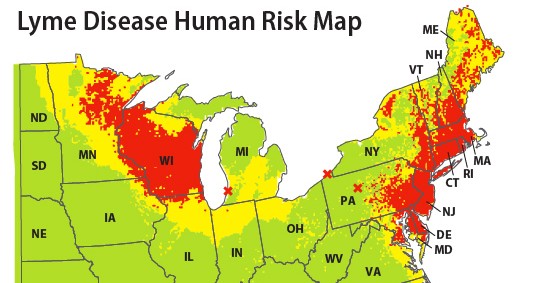 Risk map for Lyme disease cases in Eastern United States
