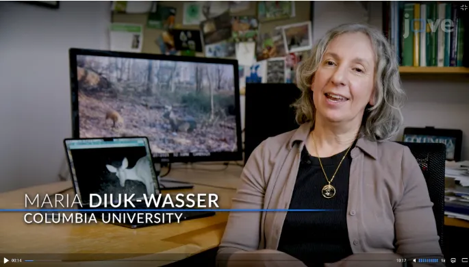 Screenshot from video linked